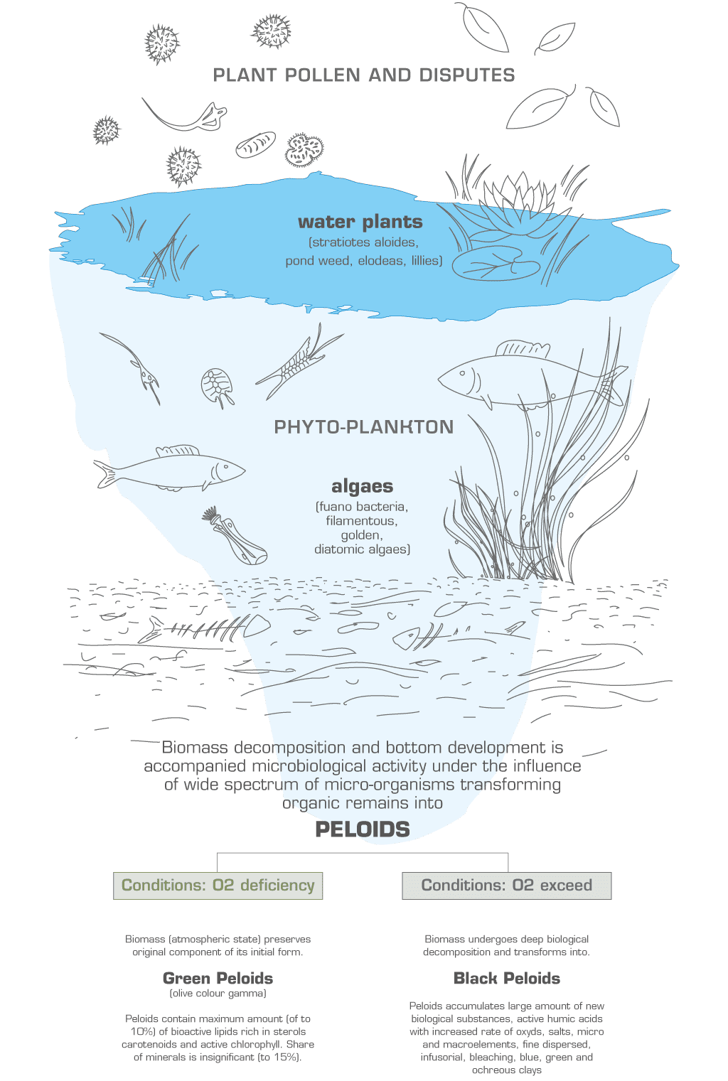 Formation peloids biomass